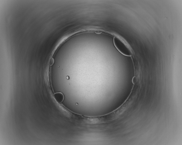 X0000112390911200908201540