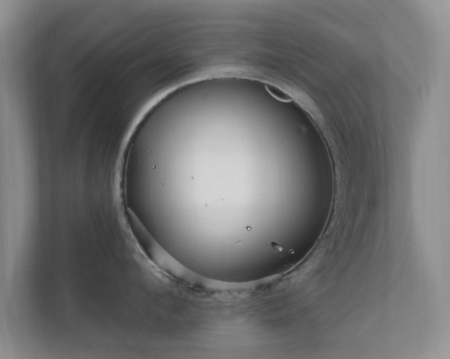 X0000112390912200908201540