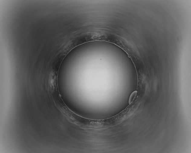 X0000112390914200908201539