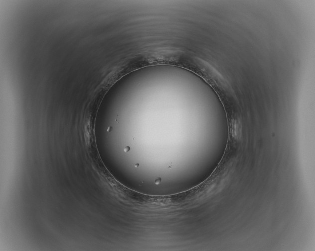 X0000112390915200908201539