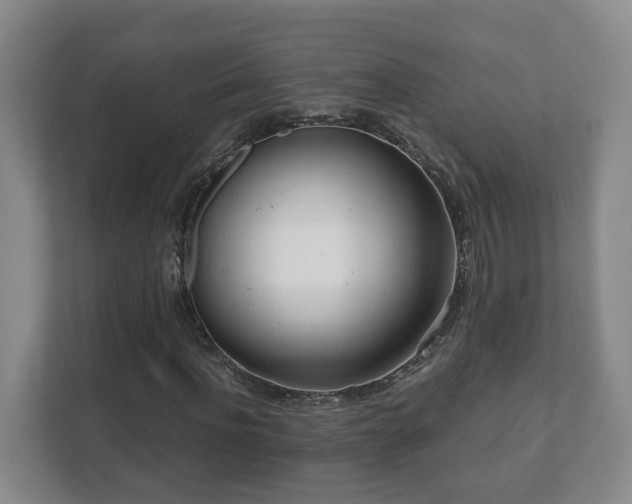 X0000112390916200908201539