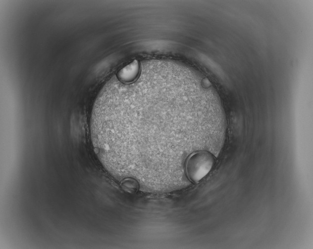 X0000112390918200908201539