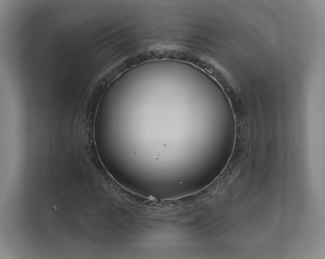 X0000112390919200908201539