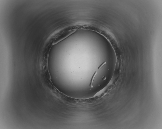 X0000112390920200908201539