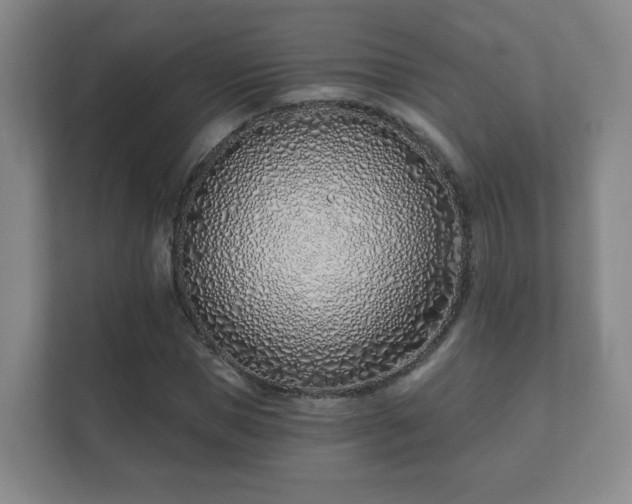 X0000112390921200908201539