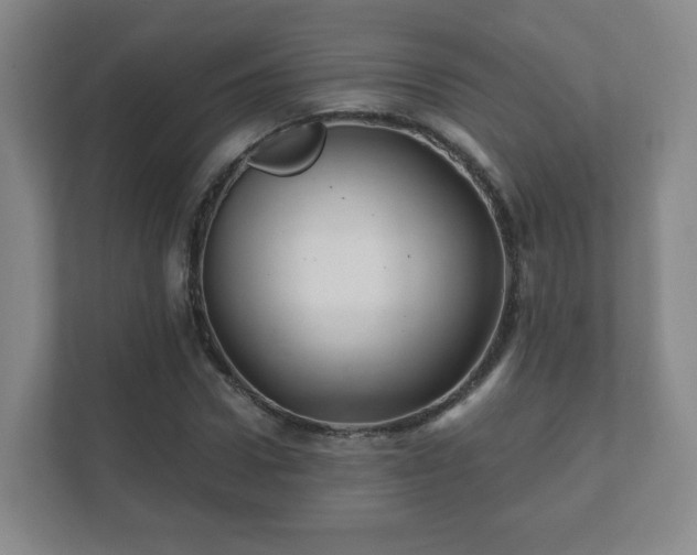 X0000112390922200908201539