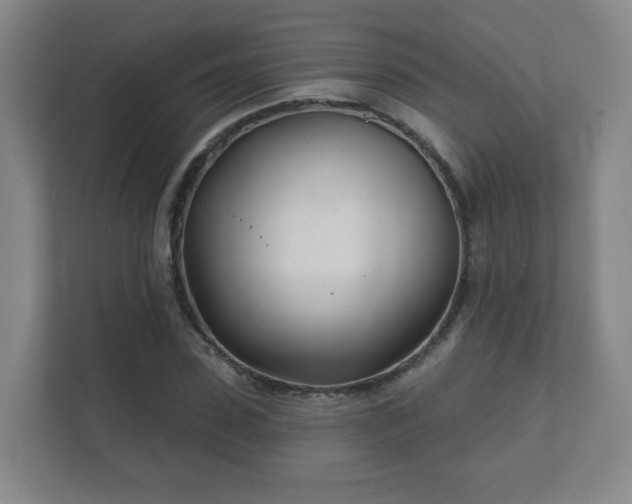 X0000112390923200908201539