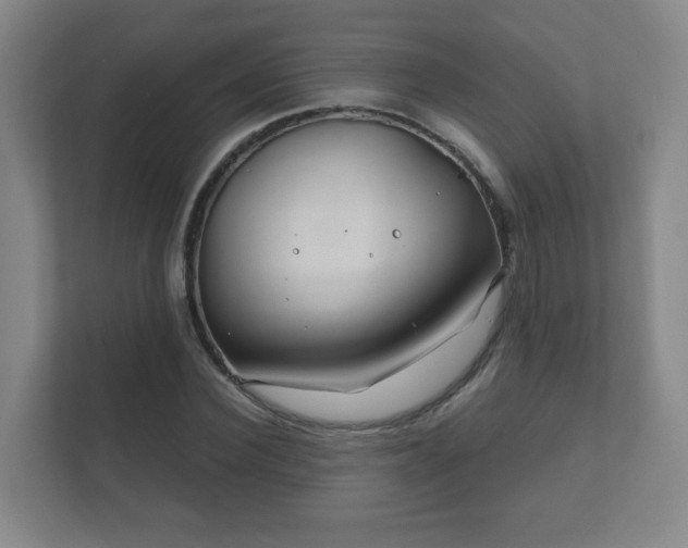 X0000112390924200908201539