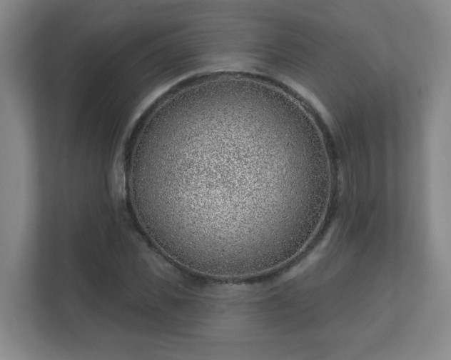 X0000112390925200908201539