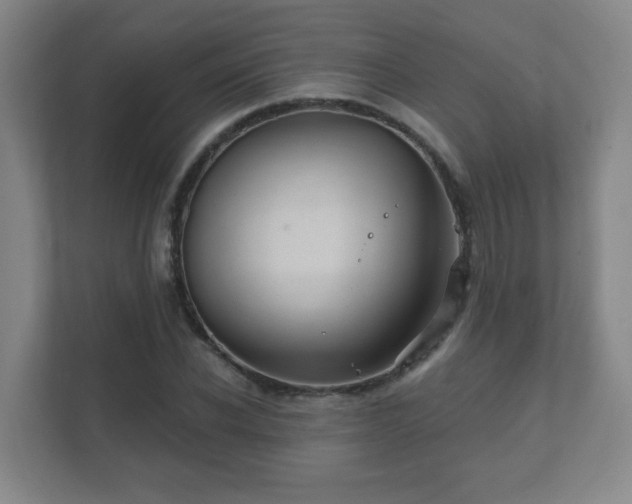 X0000112390926200908201539