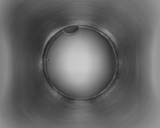 X0000112390928200908201539