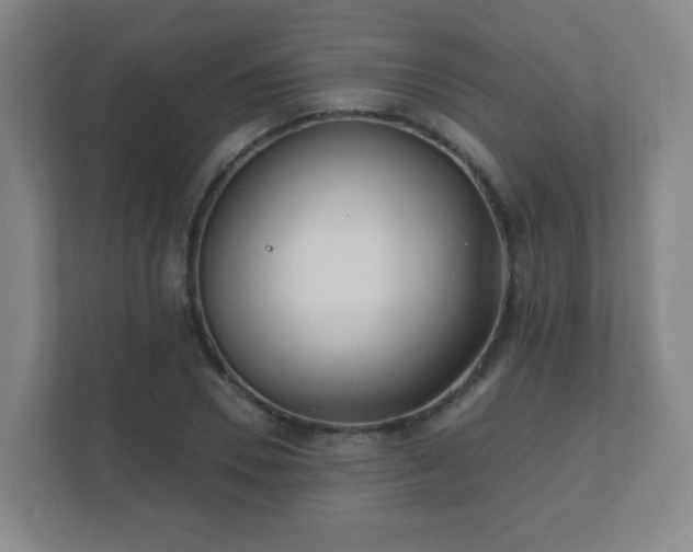 X0000112390930200908201539