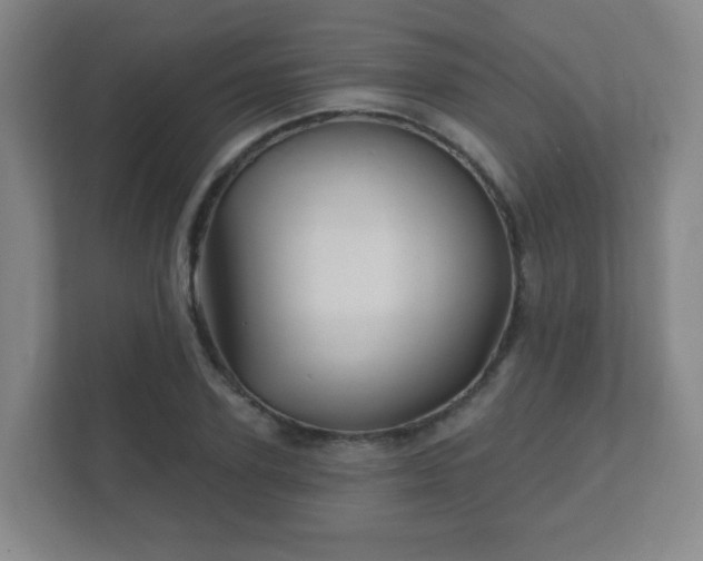 X0000112390931200908201539