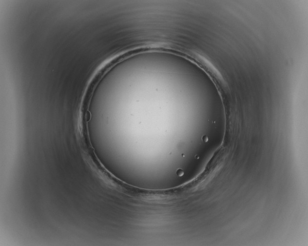 X0000112390932200908201539