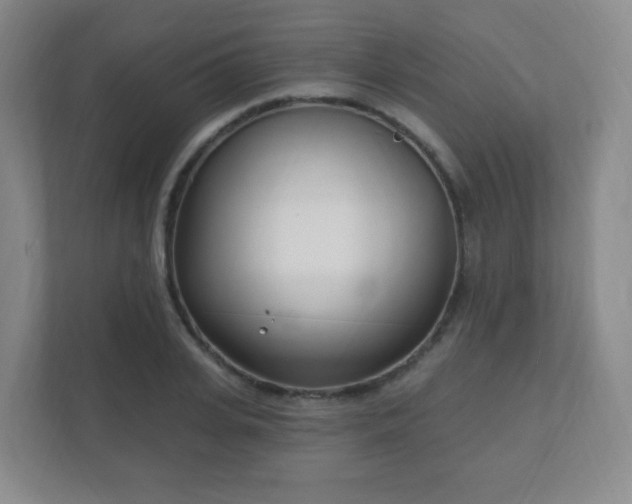 X0000112390935200908201539