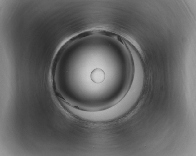 X0000112390936200908201539