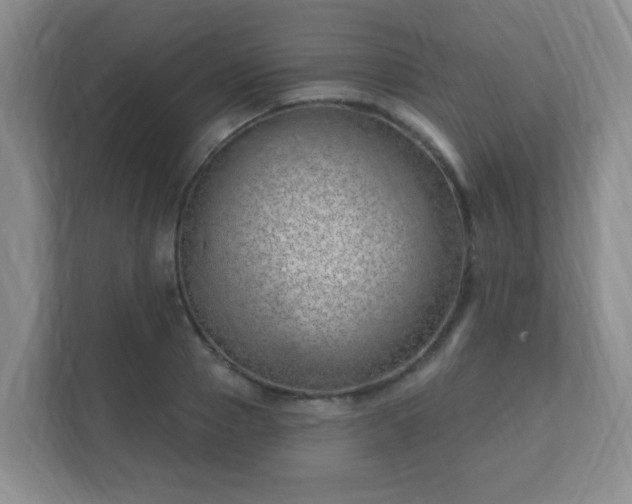 X0000112390937200908201539