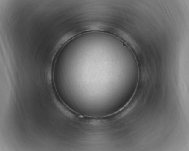 X0000112390938200908201539