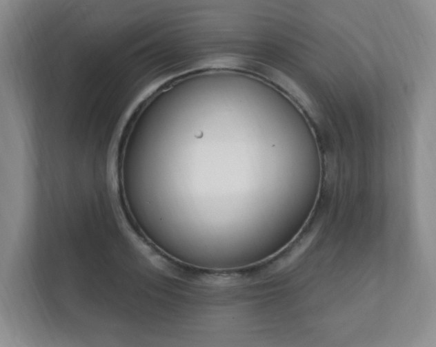 X0000112390939200908201539