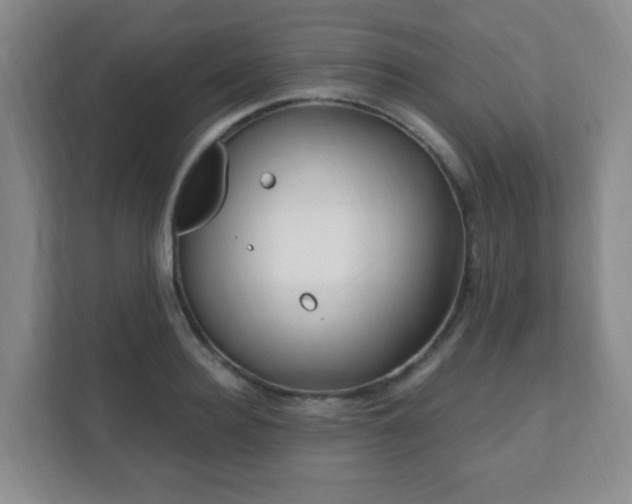 X0000112390940200908201539