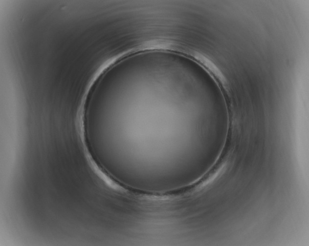 X0000112390941200908201539