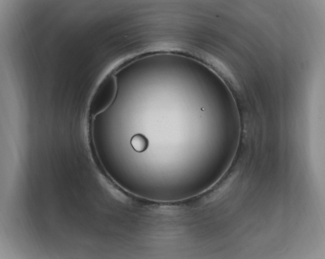 X0000112390942200908201539