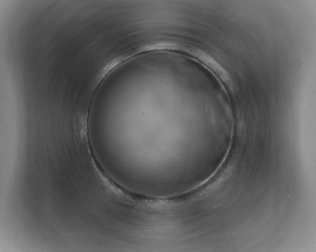 X0000112390945200908201539