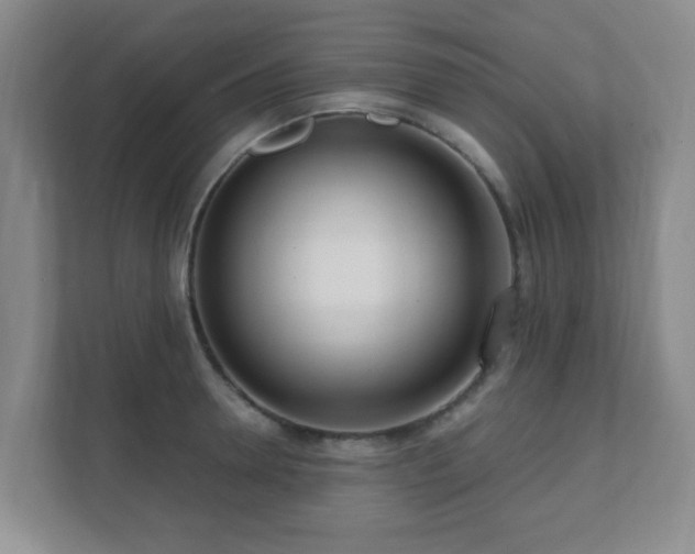 X0000112390946200908201539