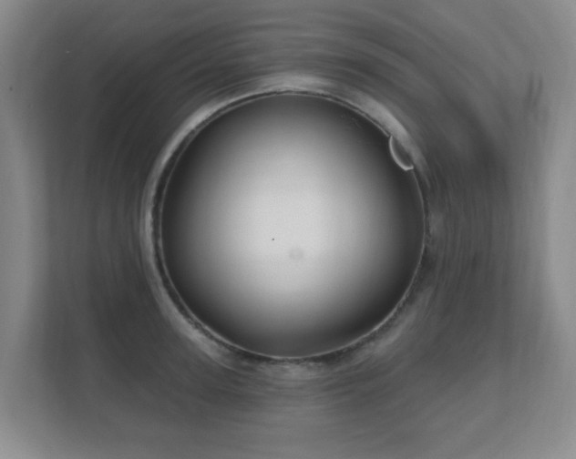 X0000112390947200908201539