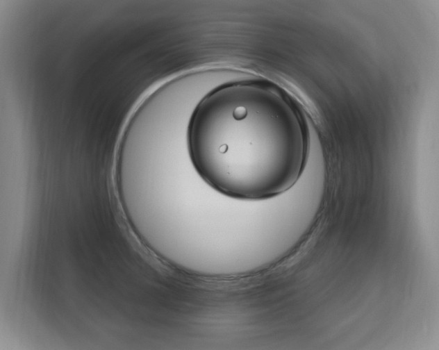 X0000112390948200908201539