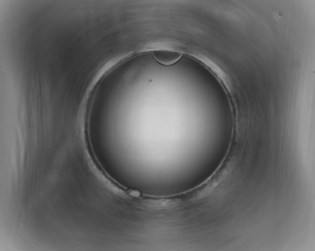 X0000112390949200908201539