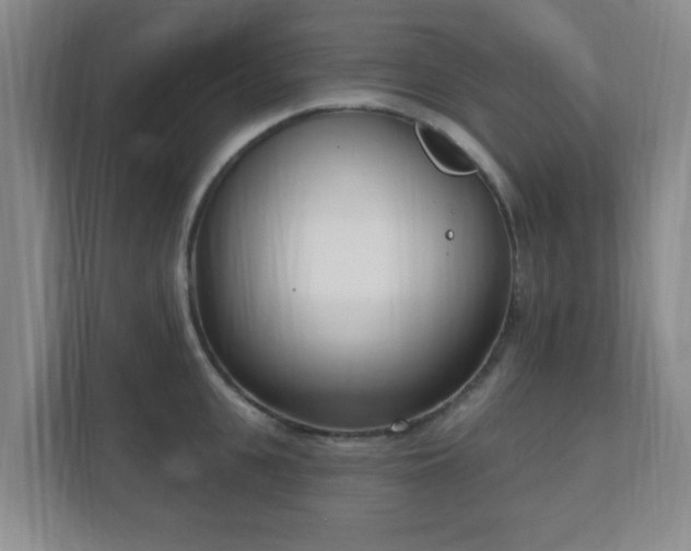 X0000112390951200908201539