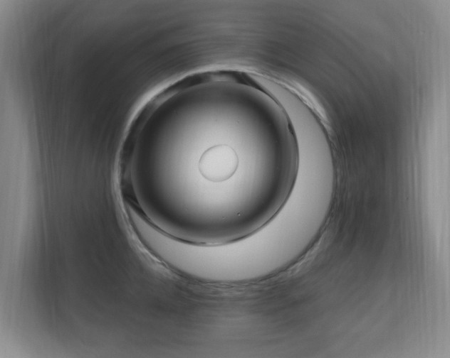 X0000112390952200908201539