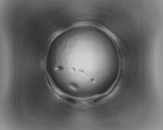 X0000112390953200908201539