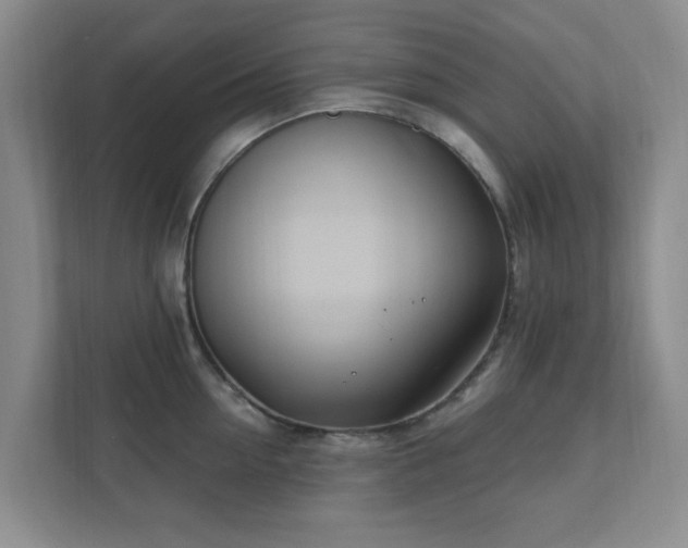 X0000112390954200908201539