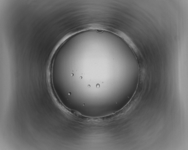 X0000112390955200908201539