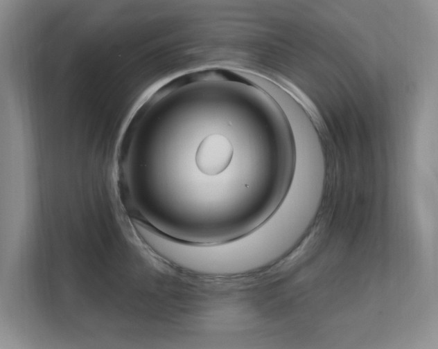 X0000112390956200908201539