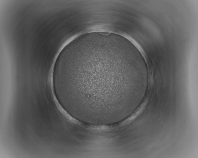 X0000112390957200908201539