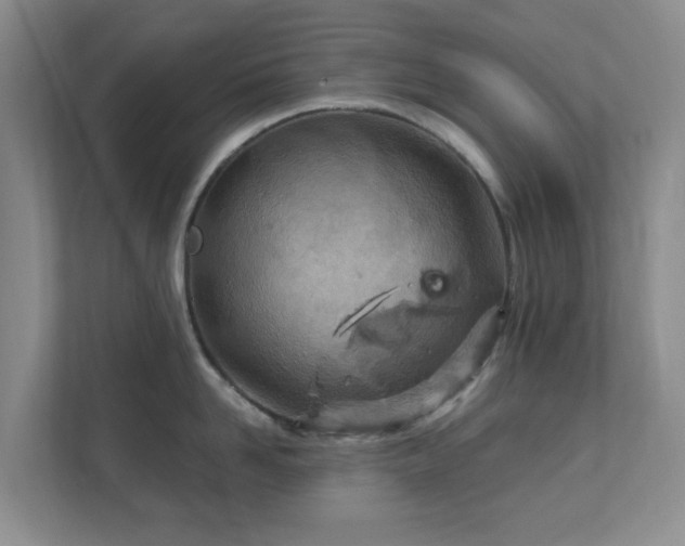 X0000112390958200908201539