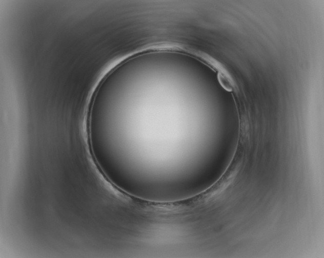 X0000112390959200908201540