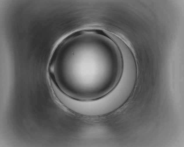 X0000112390960200908201540