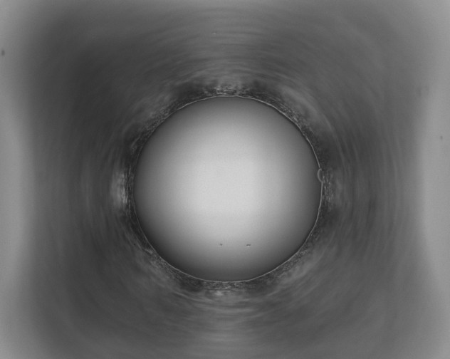 X0000112390962200908201539