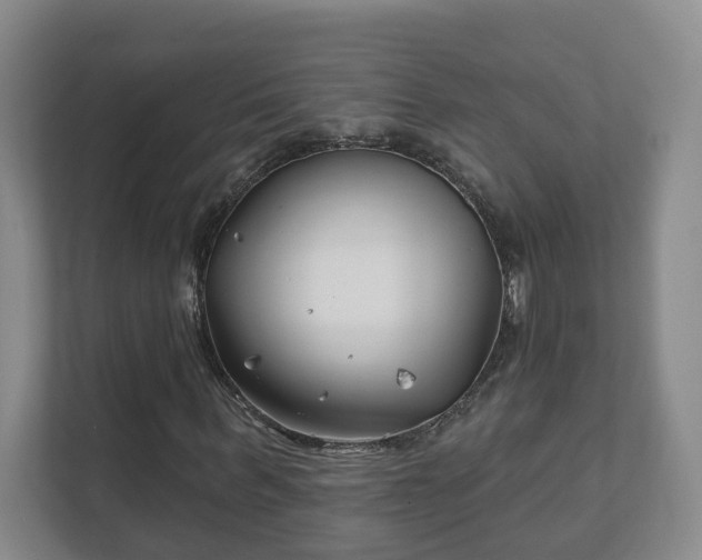 X0000112390963200908201539