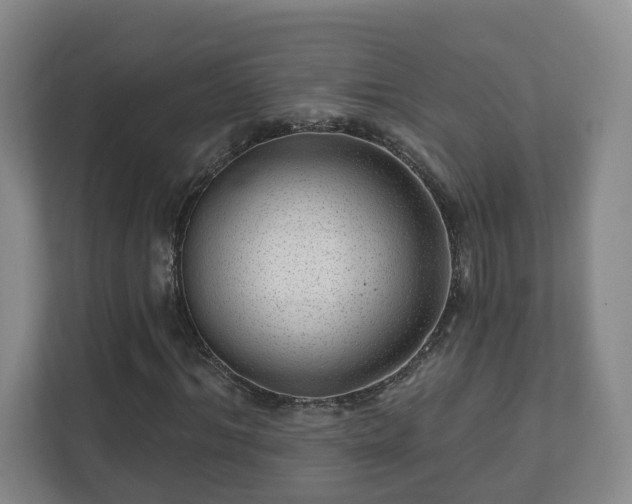 X0000112390964200908201539