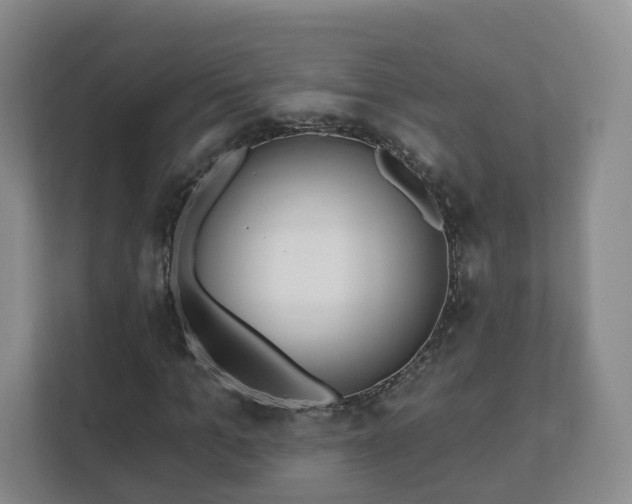 X0000112390965200908201539