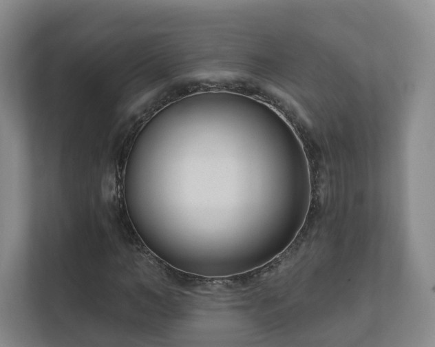 X0000112390966200908201539