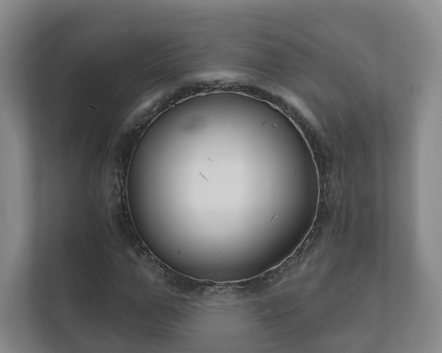 X0000112390967200908201539