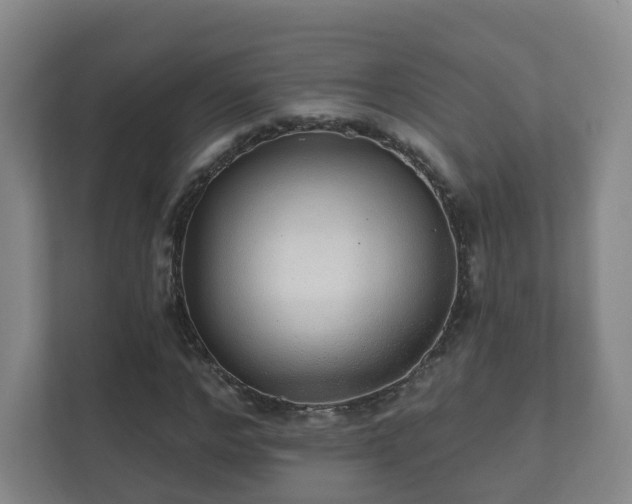 X0000112390968200908201539