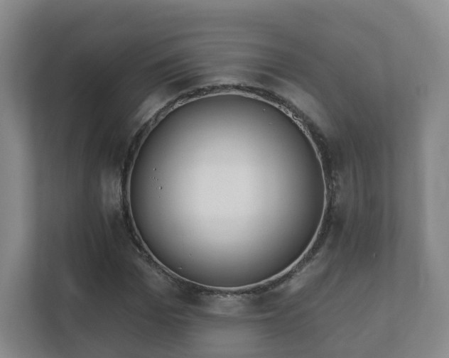 X0000112390969200908201539