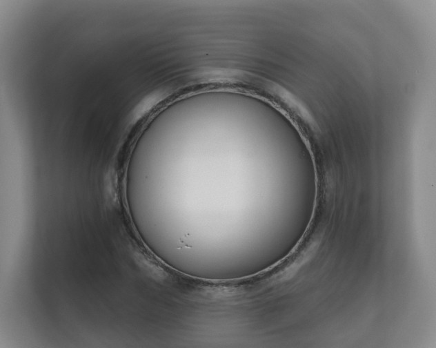 X0000112390970200908201539